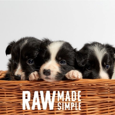 Raw Dog Food Suppliers | Raw Made Simple | Free UK Delivery