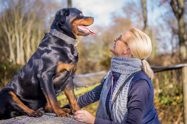 Lady with dog