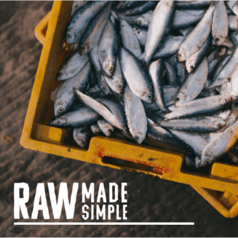 Fish Raw Dog Food Meal from Raw Made Simple