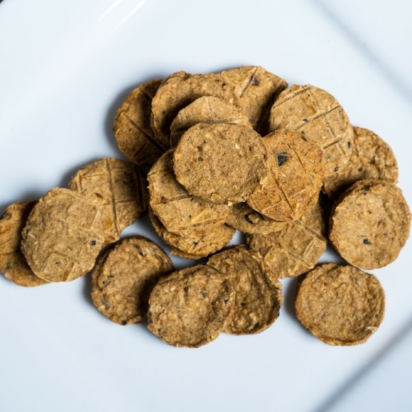 Dried Salmon Fish Biscuits, raw made simple dog food treat