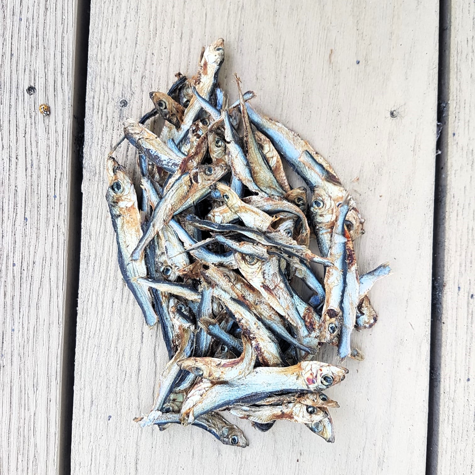 9583 Dried Sprats 50g (1)